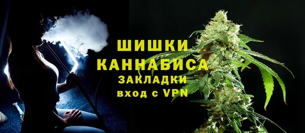 прущие грибы Осташков