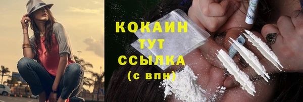 прущие грибы Осташков