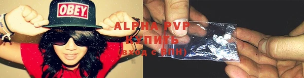 прущие грибы Осташков