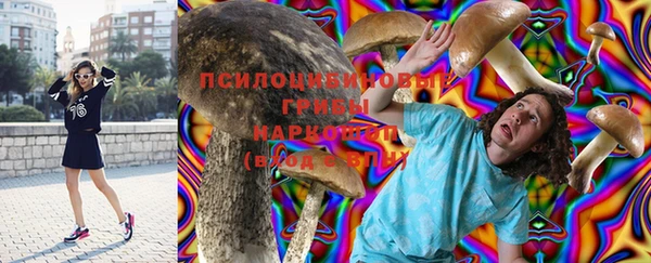 MESCALINE Осинники