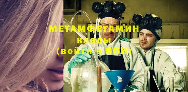 прущие грибы Осташков