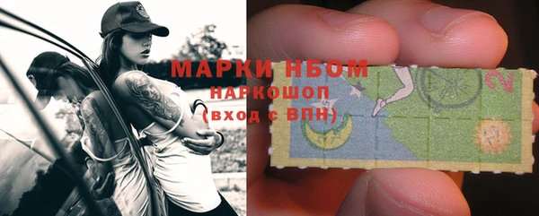 прущие грибы Осташков