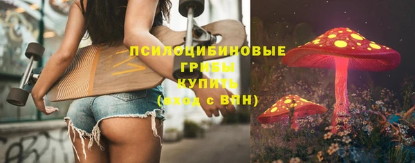 прущие грибы Осташков