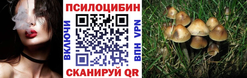 Галлюциногенные грибы Cubensis Сорочинск