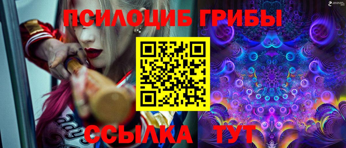 Псилоцибиновые грибы MAGIC MUSHROOMS  Вход с VPN  где купить наркоту  Сорочинск 
